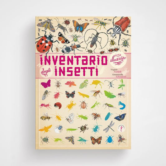 Inventario insetti - illustrato